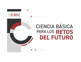 Actividades